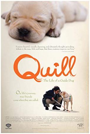Quill: