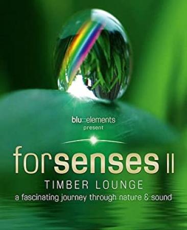 Forsenses